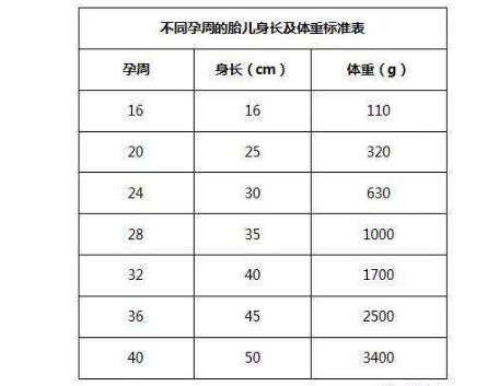 胎儿体重怎么计算 怎么算胎儿体重