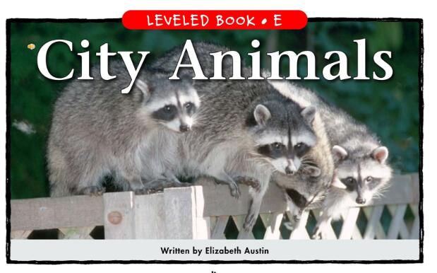 《City Animals城市的动物》英文原版绘本pdf资源免费下载