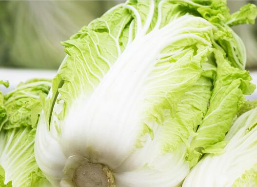 宫寒可以吃白菜吗