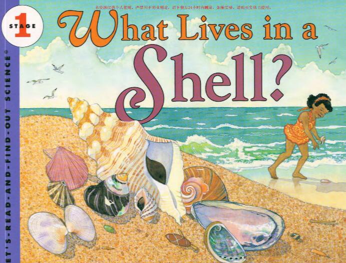 《What Lives in a Shell》科普类英文绘本pdf资源免费下载