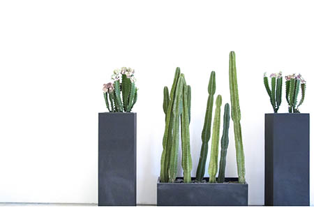 这份月子餐下奶汤，助你奶水多多！