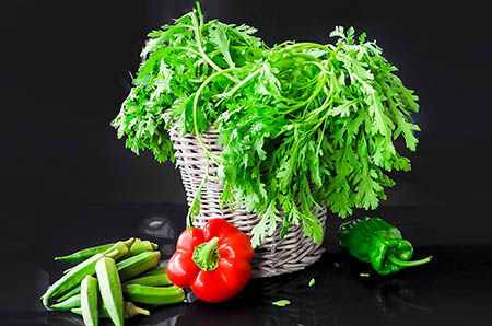 2019洋气的宝宝名字大全