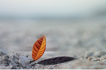 【宫寒不孕怎么调理】宫寒不孕的调理方法有哪些