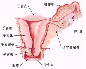 慢性宫颈炎