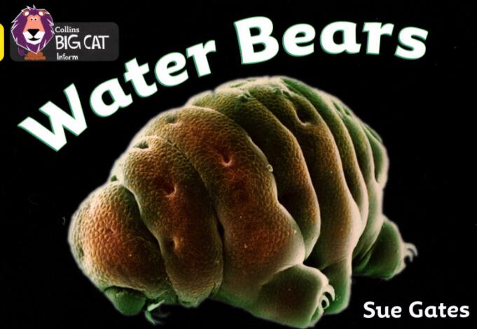 《Water Bears》大猫分级绘本pdf资源免费下载