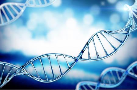 婆婆竟要吃我的胎盘！