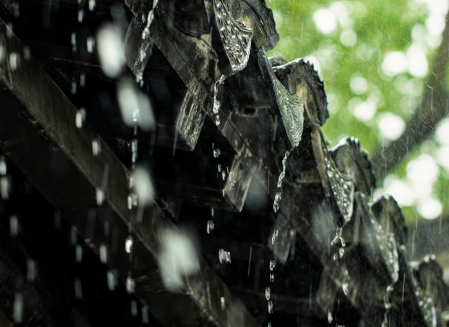 袋袋熊的果冻雨靴故事