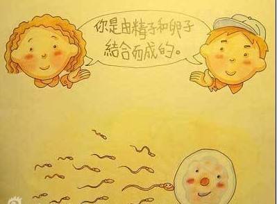 孩子问：我是从哪里来的，妈妈应该怎么回答