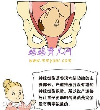 顺产宝宝更聪明 剖腹产孩子更笨吗？