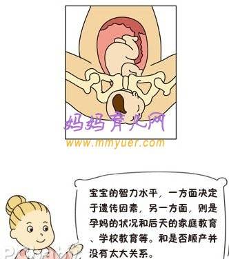 顺产宝宝更聪明 剖腹产孩子更笨吗？