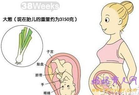 怀孕十个月胎儿图 孕10个月吃什么好 要注意什么