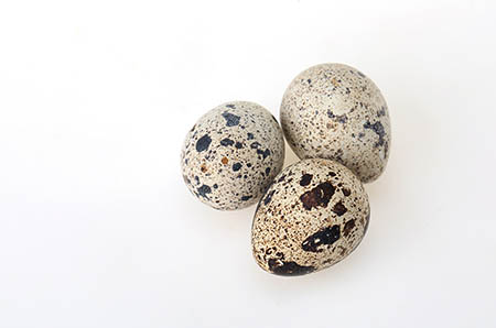 产后黑眼圈怎么办？吃什么可以去黑眼圈？