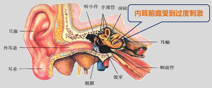 眩晕宁不良反应大吗？晕车是什么原因引起的？