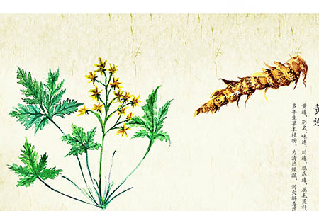 【白带】白带多是什么原因白带发黄是什么原因