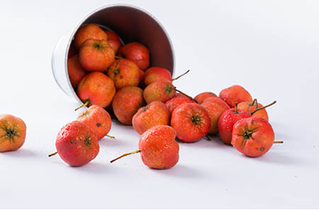 猪年出生的宝宝取小名