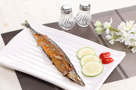 乌龟与大象的故事1