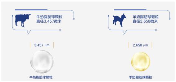 婴儿吃羊奶粉好还是牛奶粉好？看完这篇全知道
