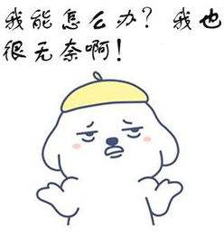 宝宝挑食怎么办？惠氏膳儿加奶粉来帮你