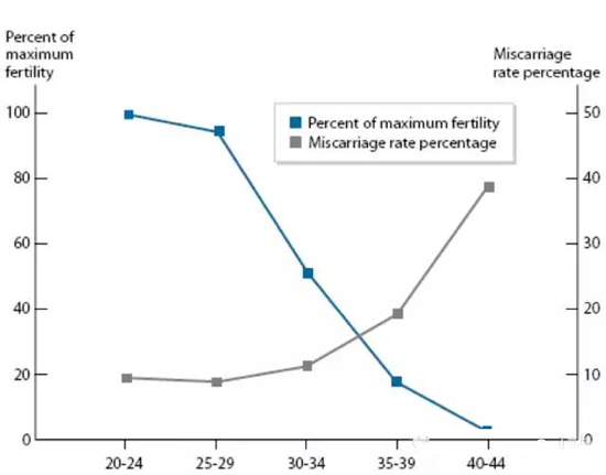 女人冻卵最佳年龄3