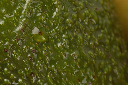 【产后瘦身食谱大全】哺乳期减肥食谱产后怎么吃减肥效果最好