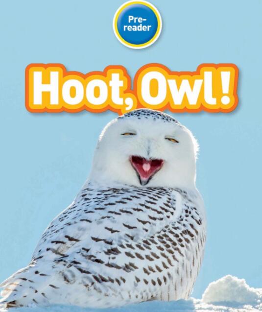 《Hoot Owl》国家地理分级读物英文绘本pdf资源免费下载