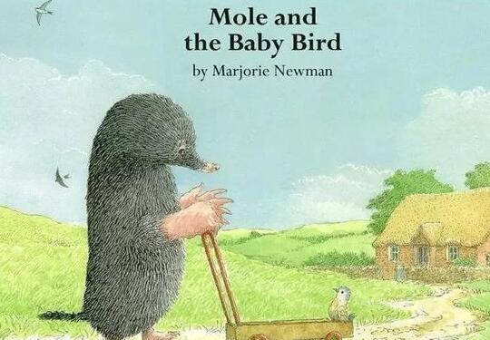 《Mole and Baby Bird》中英双语绘本故事pdf资源免费下载