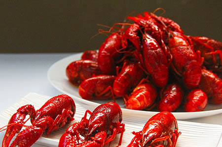 【产后掉头发是什么原因】产后掉头发的原因有哪些产后为什么会掉头发