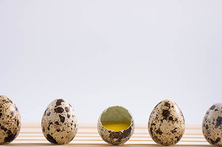 给新生女孩起名字小名大全