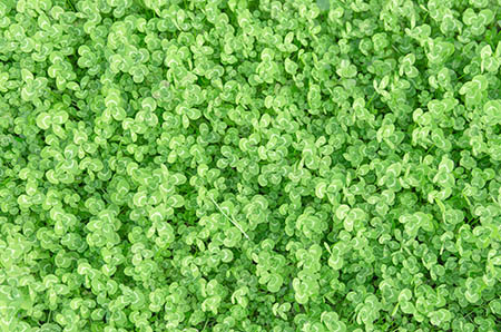 谨记月子禁忌，夏天坐月子也不怕，受益一生~