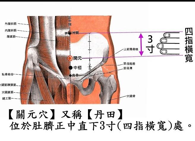 关元的准确位置图和按摩手法