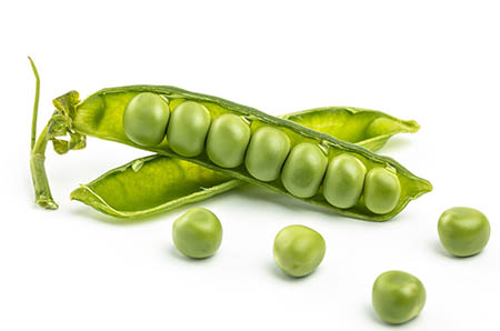 【小猫找鼠国的故事】宝宝胎教故事小猫找老鼠的故事睡前胎教故事小猫找老鼠的故事