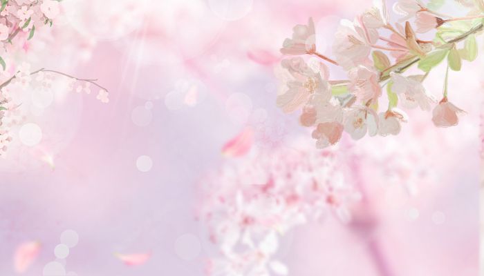 清明假期第1天全国大部天气晴好 西藏四川云南等有降雨