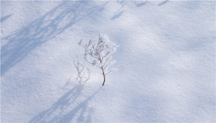 为什么桥上的雪不容易化 为何桥上的雪不易融化