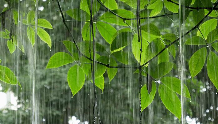 4月18日国外天气预报：南非东北部有较强降雨