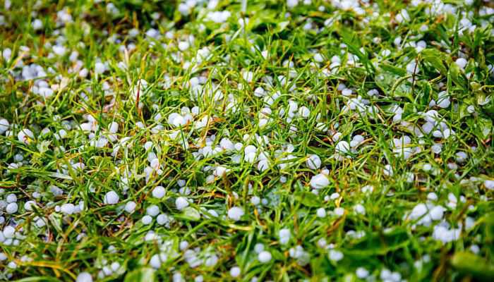 上海冰雹是哪个季节下的 上海冰雹是在什么季节下的