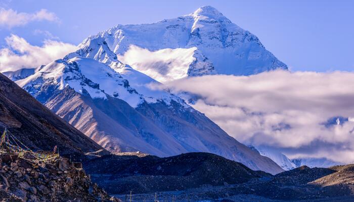 珠峰地区发现1500万年前叶片化石 是喜马拉雅山脉剧烈地壳运动的见证