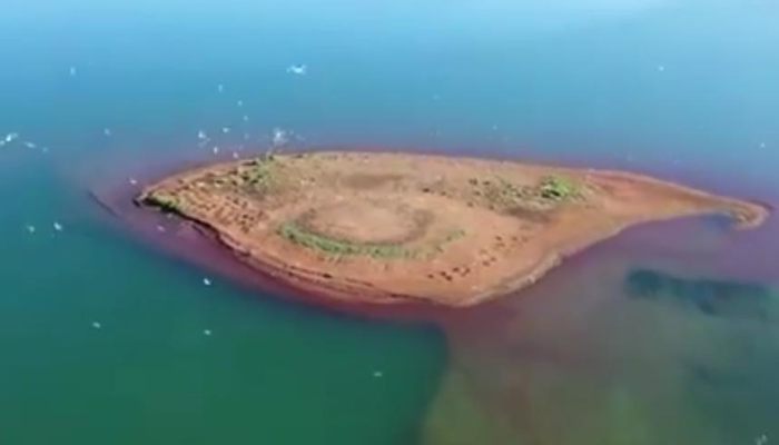 中国最大的沙漠淡水湖 我国第一大沙漠淡水湖