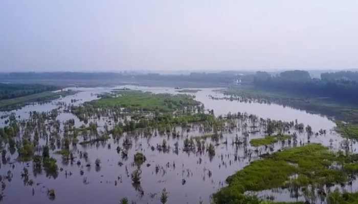 中国最大的半岛是什么岛 中国第一大半岛是哪个岛