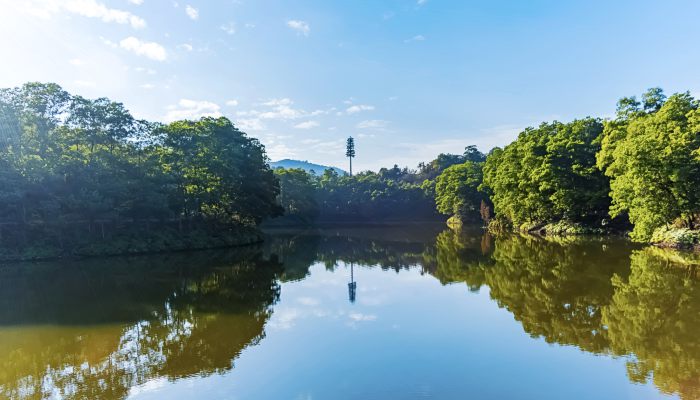 中国海拔最低的地方在哪里 中国海拔高度最低的地区是哪儿