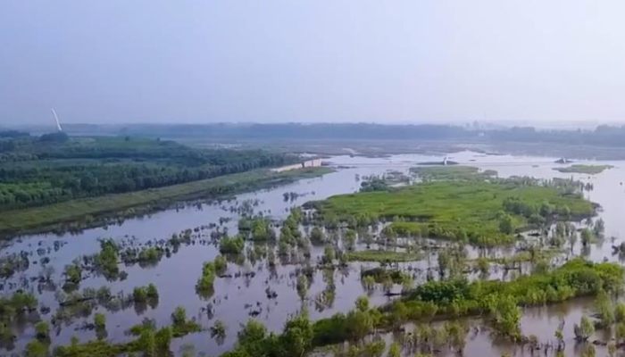 中国最大的半岛是什么岛 中国第一大半岛是哪个岛