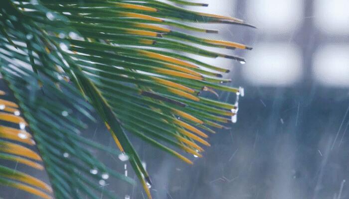 今明两天广东继续强降雨 广州局部可能有特大暴雨