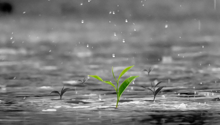 短时强降雨算暴雨吗 短时强降雨是不是暴雨