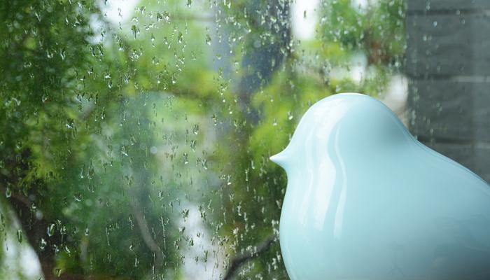 上海今雨转多云到阴 最高气温回落到23℃