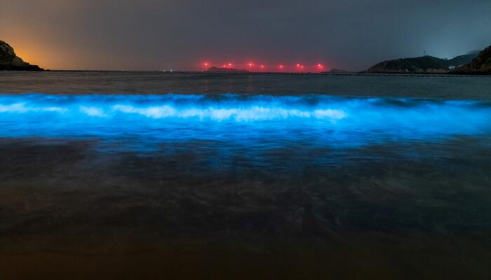 浙江北麂岛现繁星入海奇景 5月至6月北麂岛“蓝眼泪”大爆发