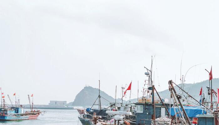 浙江北麂岛现繁星入海奇景 5月至6月北麂岛“蓝眼泪”大爆发