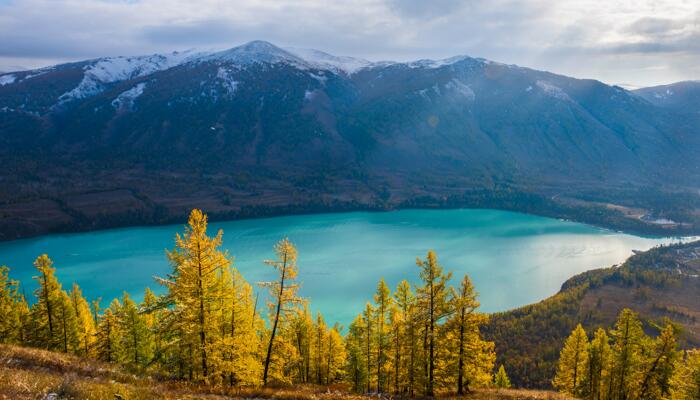 新疆喀纳斯湖再现不明生物 景区回应：不存在水怪