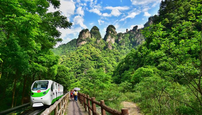 张家界2景区年底前对全国游客免票 2022年暑期旅游优惠政策来袭