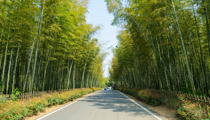 数伏天气从什么时候开始计算 数伏天从哪个时间开始算