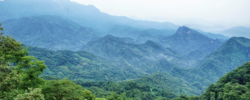 青城山属于哪个市 青城山在什么城市