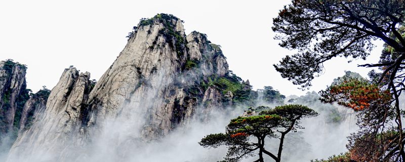 迎客松是哪个著名风景区的景点 迎客松是什么知名景区的景点